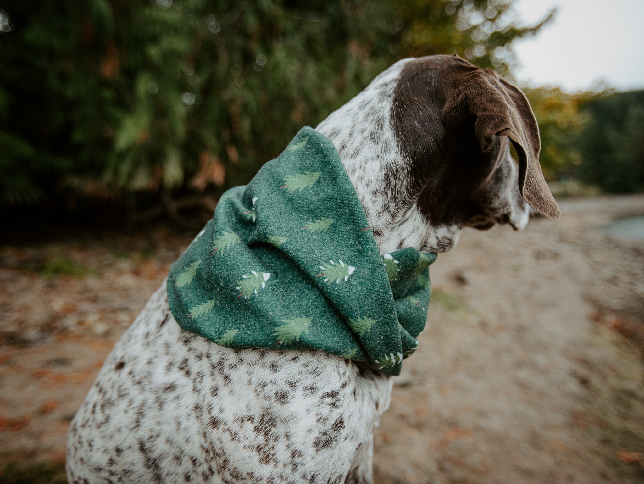 Spruce Scarf