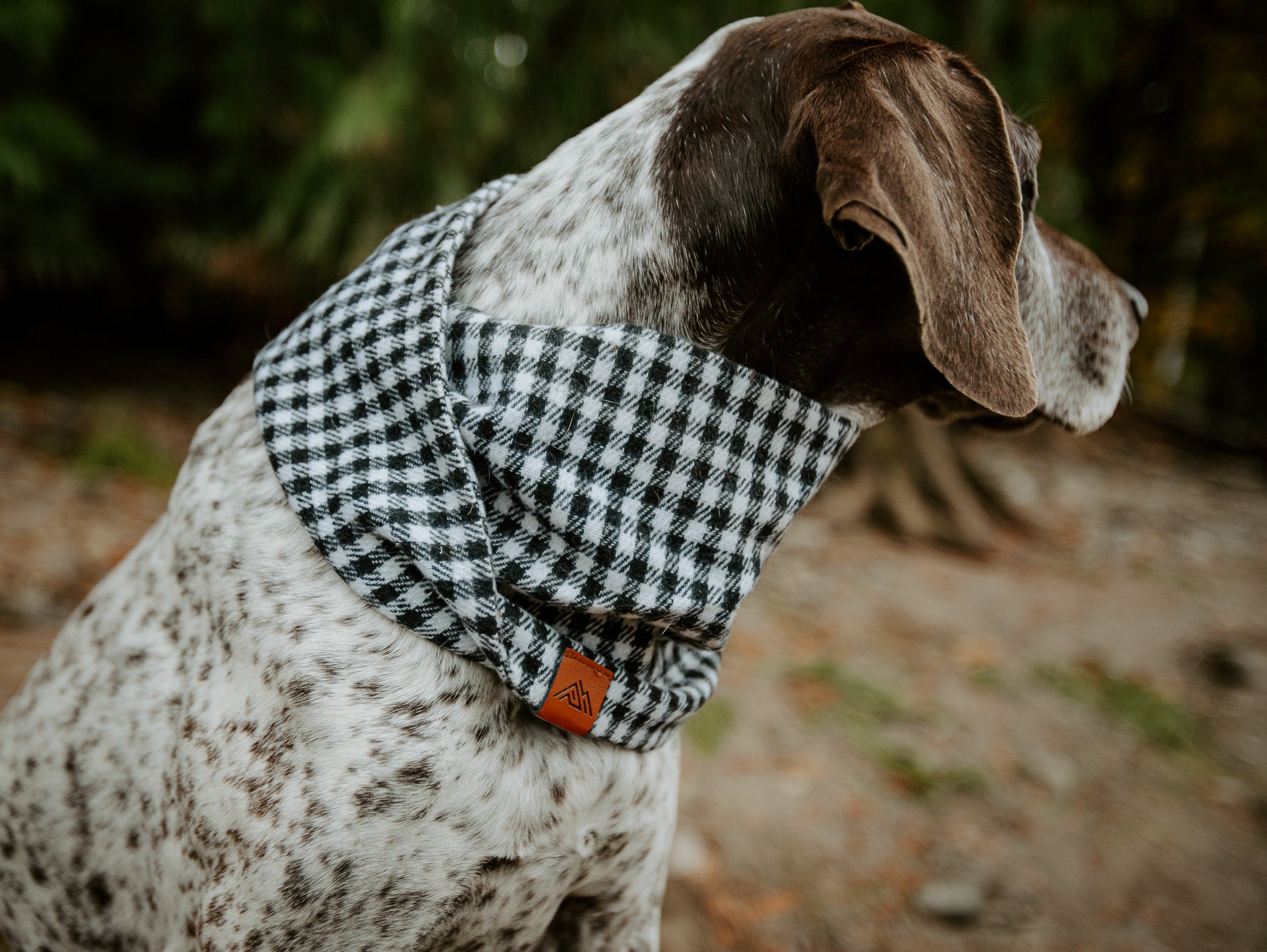Chester Scarf