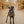 Load image into Gallery viewer, PRE-ORDER Sparrow Dog Scarf
