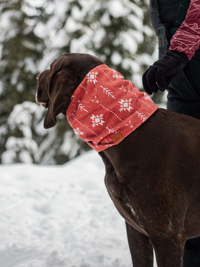 Canyon Ridge Scarf