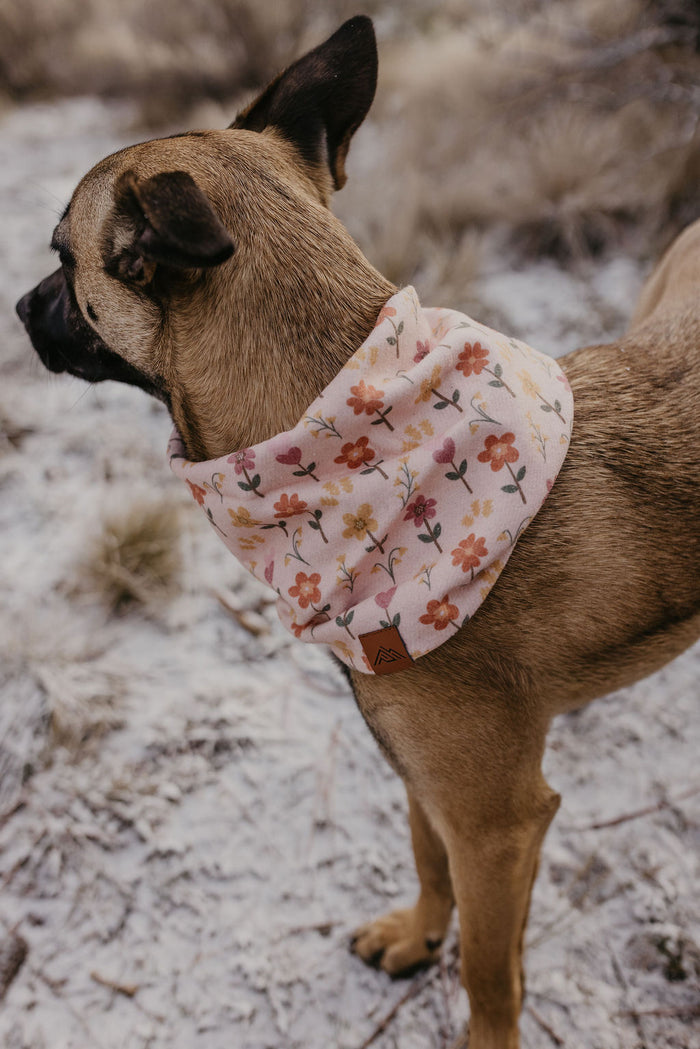 Wild Love Scarf