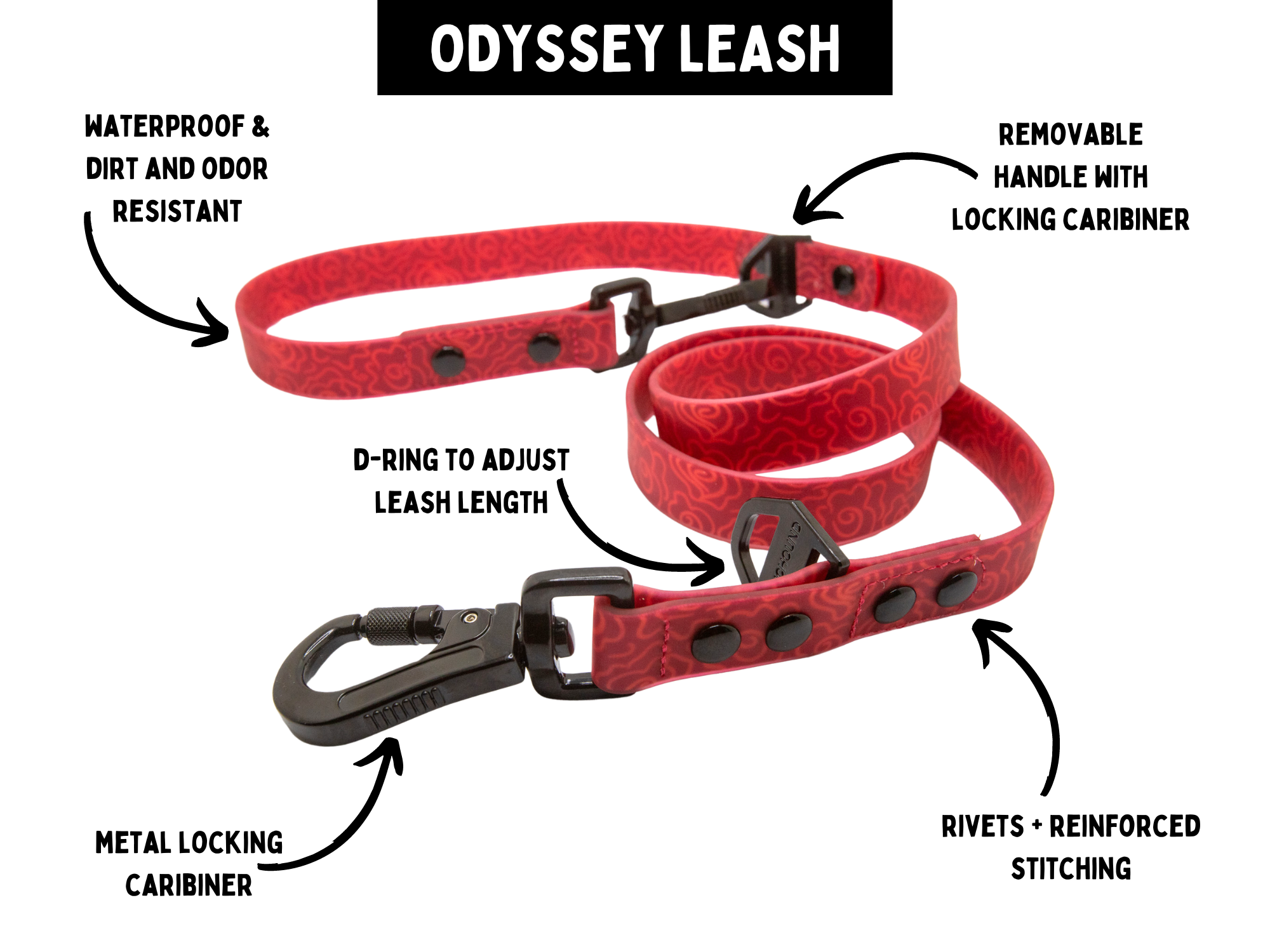 Odyssey Leash | Midnight