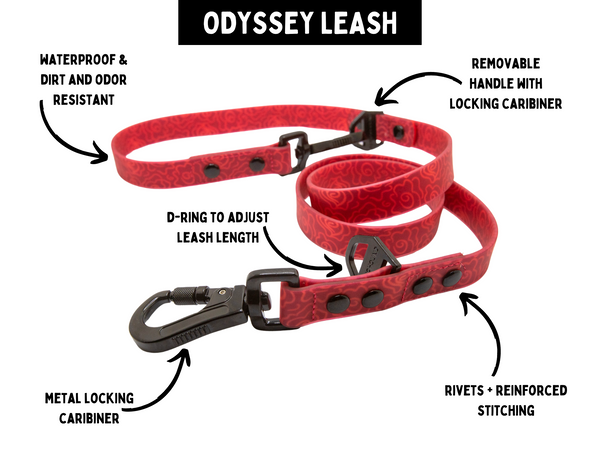 Odyssey Leash | Teal