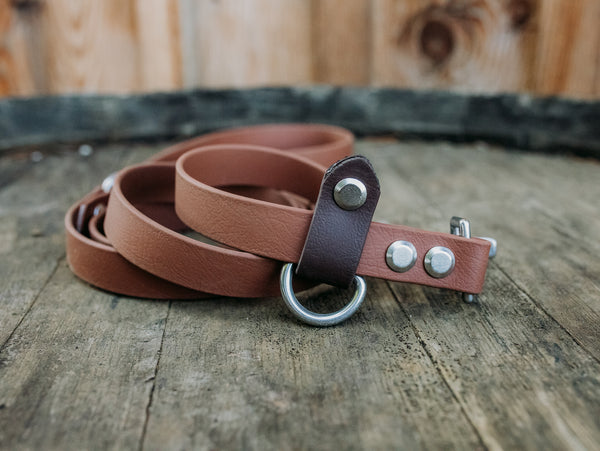 Journey Leash