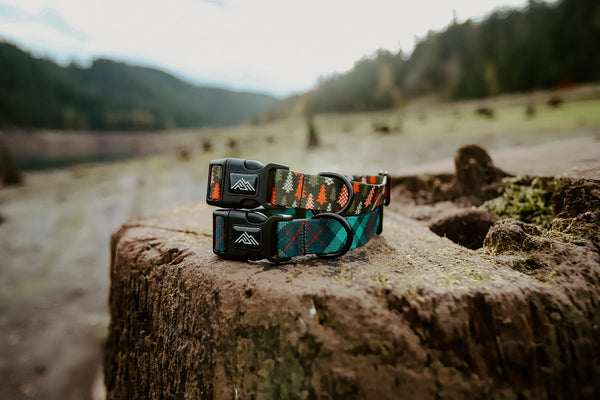 Elements Series - Buffalo Trees Dog Collar