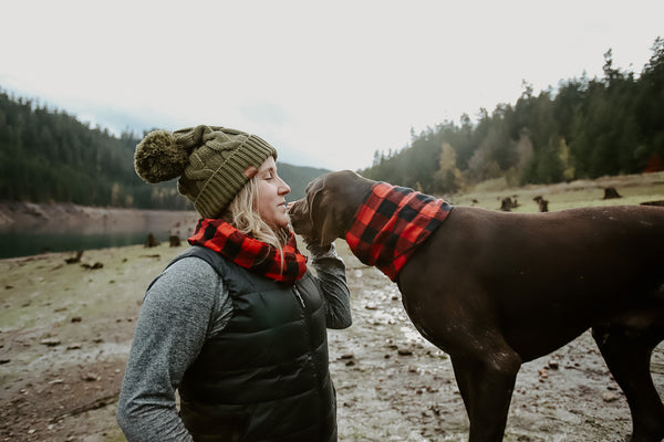 Roux Dog Scarf