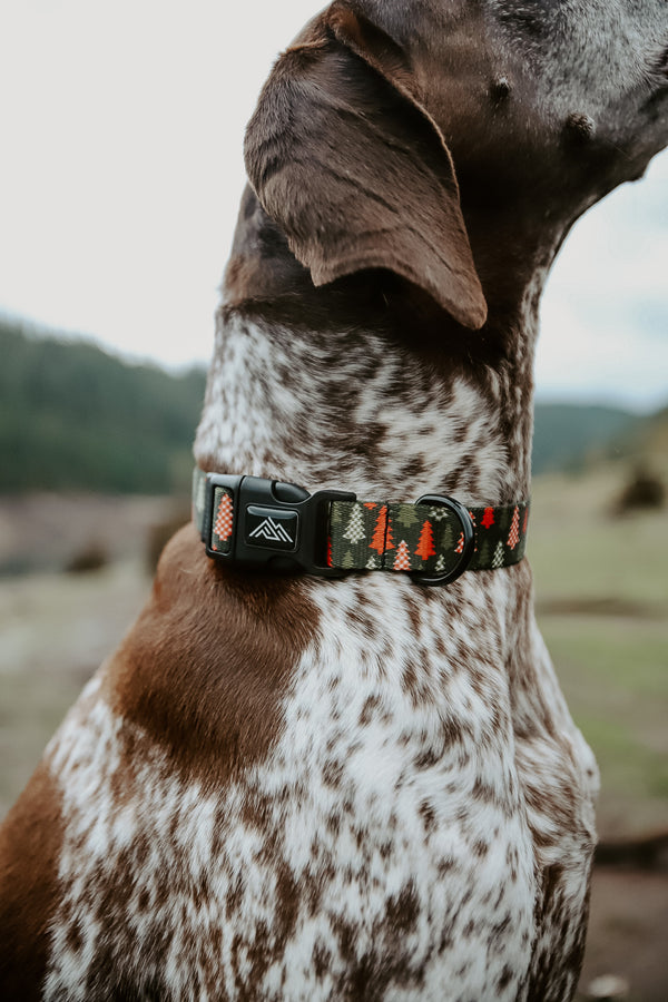 Elements Series - Buffalo Trees Dog Collar