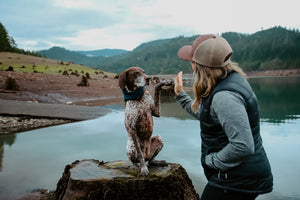 Explore More Snapback | Brown