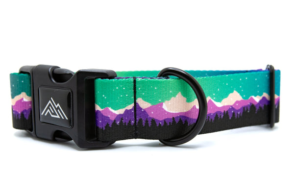 Elements Series - Aurora | Purple Dog Collar