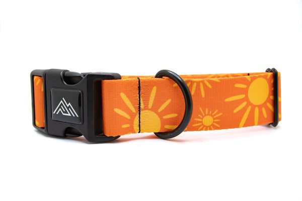 Elements Series - Tangerine Suns Dog Collar