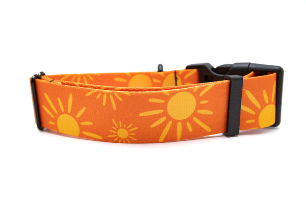 Elements Series - Tangerine Suns Dog Collar
