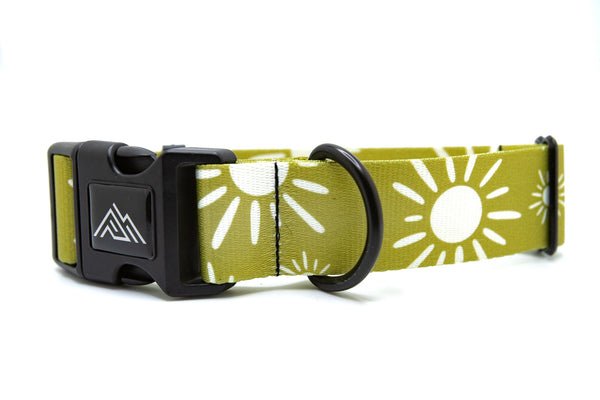 Elements Series - Olive Suns Dog Collar