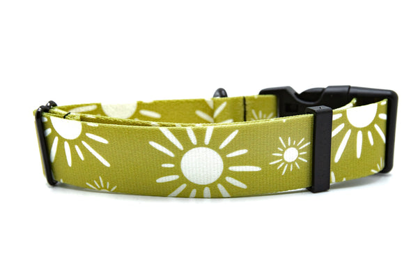 Elements Series - Olive Suns Dog Collar
