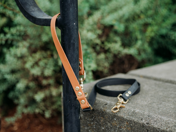 Odyssey Leash