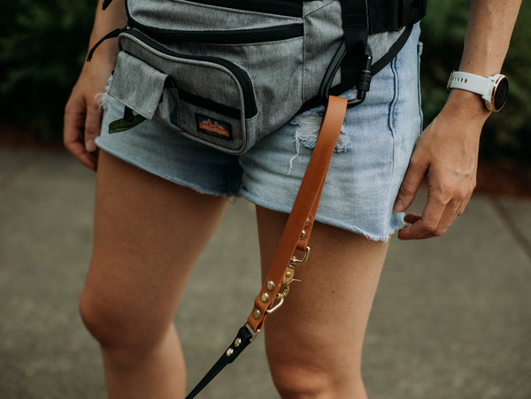 Odyssey Leash