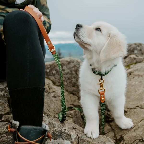 Summit Leash