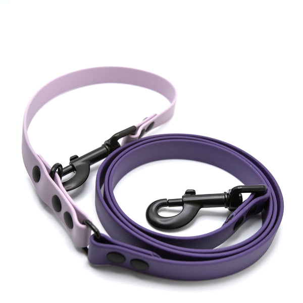 Odyssey Leash