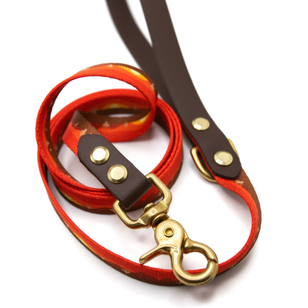 Summit Leash